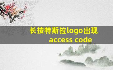 长按特斯拉logo出现access code